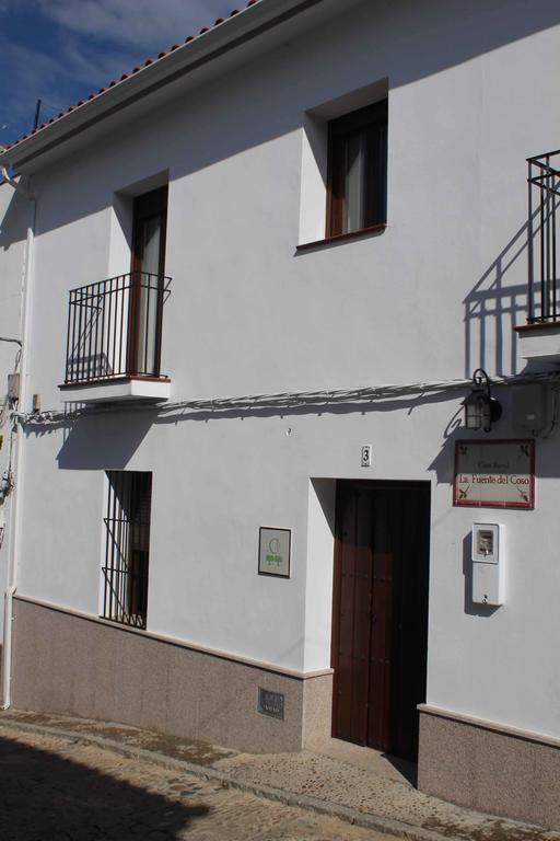 La Fuente Del Coso *